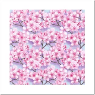 Sakura cherry blossom branch Posters and Art